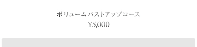 バストUPコース ¥5,000